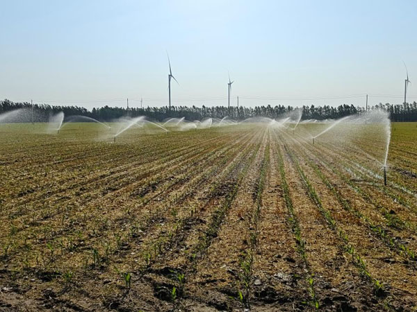 華北黃淮局地干旱持續 應繼續抓好抗旱保苗 華北黃淮局地干旱持續 應繼續抓好抗旱保苗