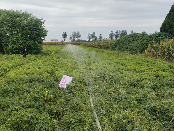 怎樣防治秋季地下害蟲 怎樣防治秋季地下害蟲